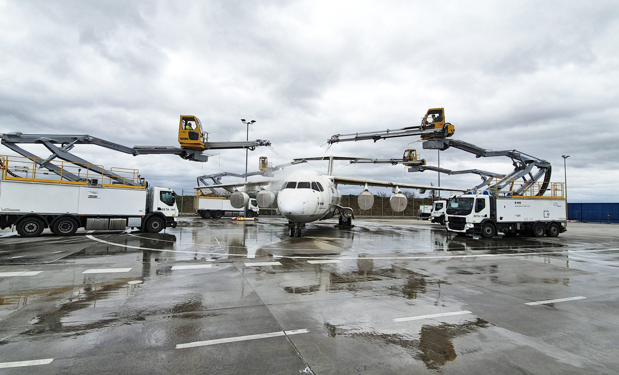 Elephant® BETA 15 in action