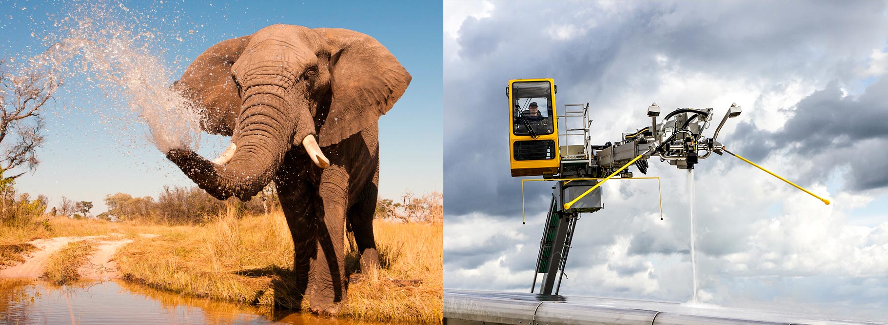 Elephant spraying water on the left; agricultural equipment spraying liquid on the right against a cloudy sky.