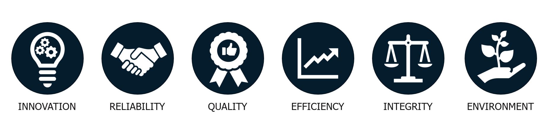 Innovation, Reliability, Quality, Efficiency, Integrity, Environment: six key values represented by icons.