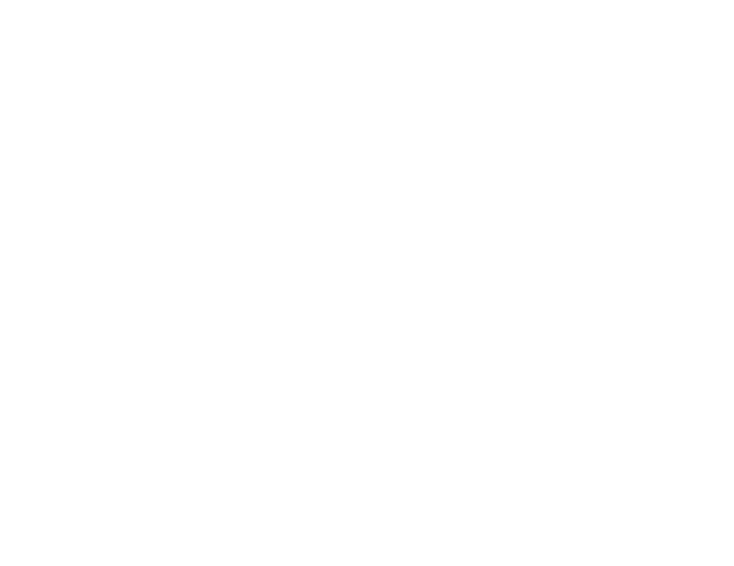 No text or numbers are present in the image.